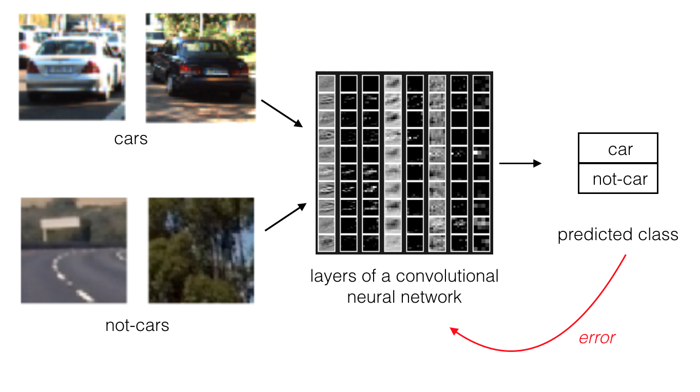 A convolutional neural network will adjust its pattern recognition algorithm until it learns to accurately classify a set of images.